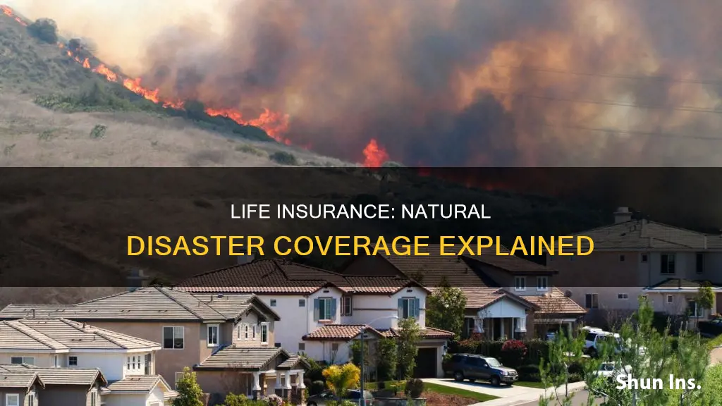 does life insurance cover natural disasters