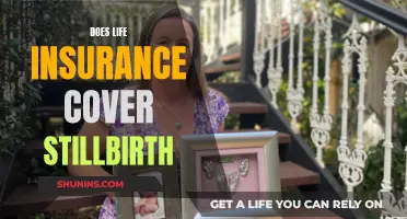 Life Insurance and Stillbirth: What Coverage is Offered?