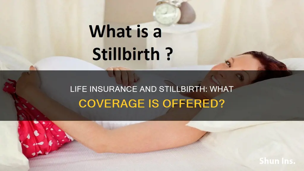 does life insurance cover stillbirth