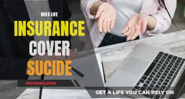 Life Insurance and Suicide: What Coverage Entails