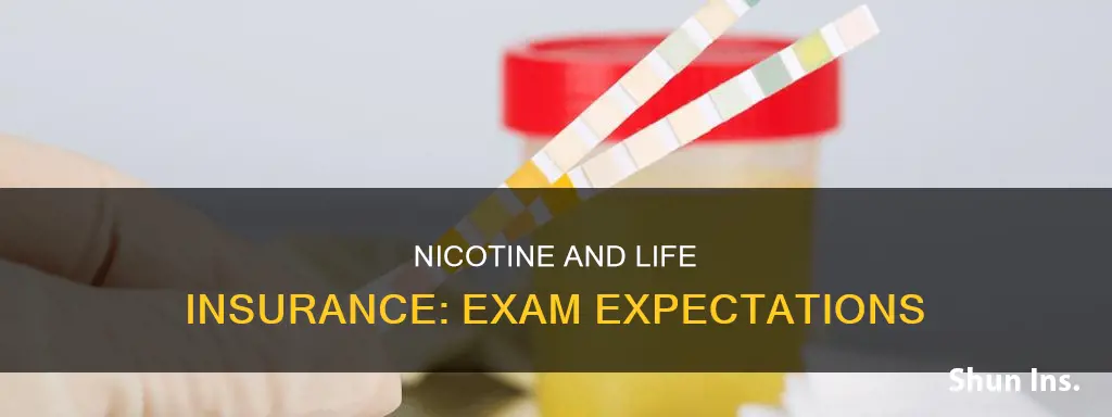 does life insurance exam test for nicotine