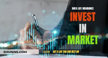 Life Insurance and Market Investment: What's the Connection?