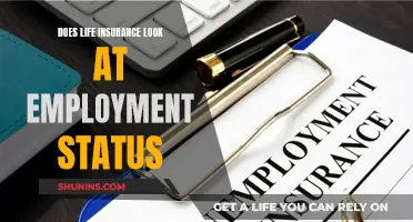 Employment Status and Life Insurance: What's the Connection?