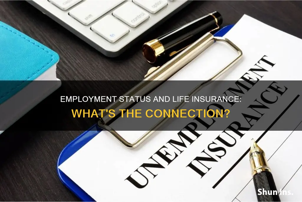 does life insurance look at employment status