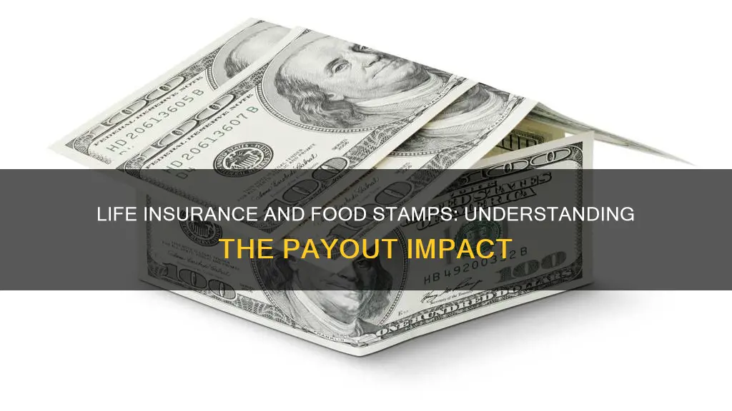 does life insurance payout affect food stamps