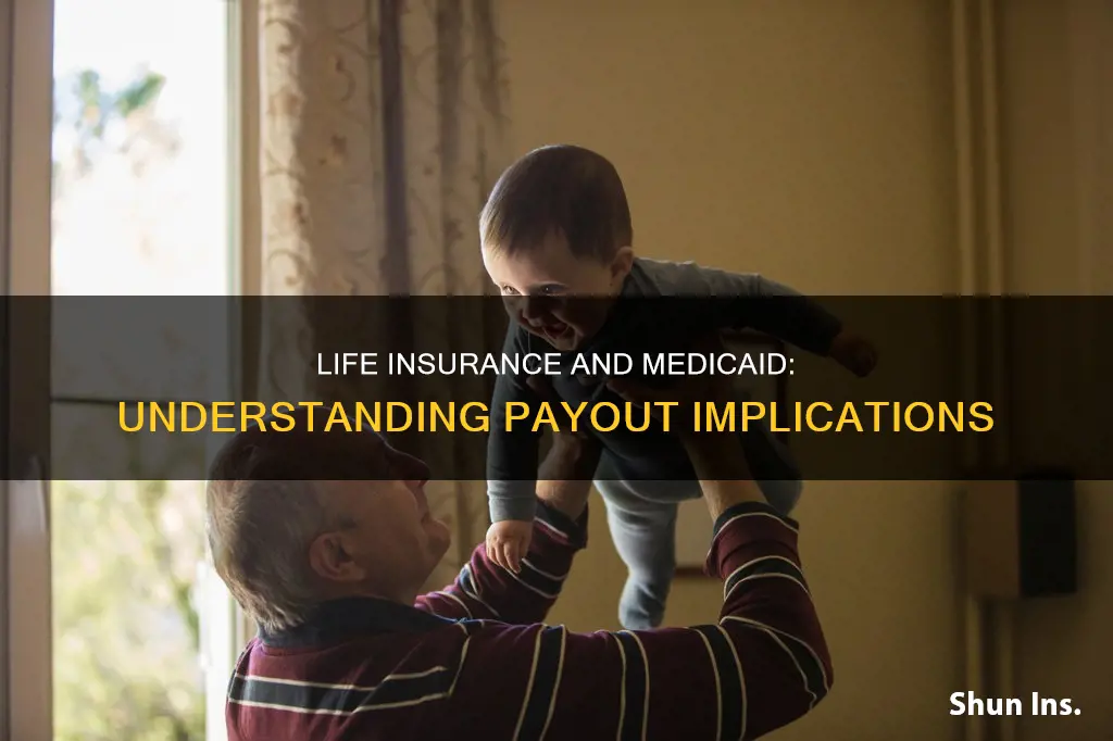 does life insurance payout affect medicaid