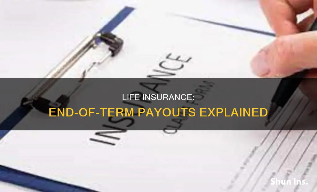 does life insurance payout at end of term