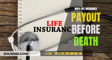 Life Insurance: Pre-Death Benefits and Payouts Explained