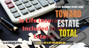 Life Insurance Payout: Part of the Estate Total?