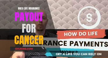 Cancer and Life Insurance: Payouts and Policies Explained