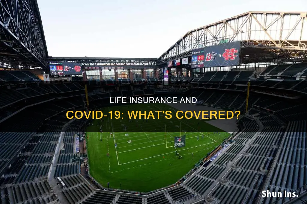 does life insurance payout for covid-19