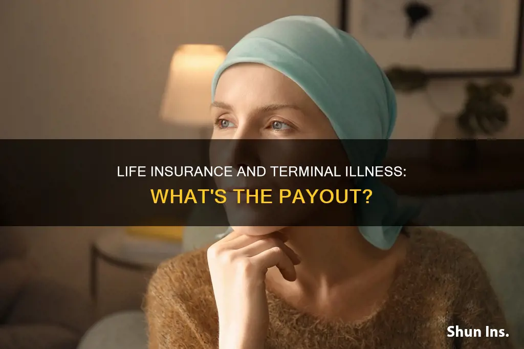 does life insurance payout for terminal illness