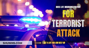 Life Insurance and Terrorism: Payout Scenarios Explained