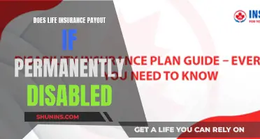 Life Insurance and Disability: Payout Scenarios for the Permanently Disabled