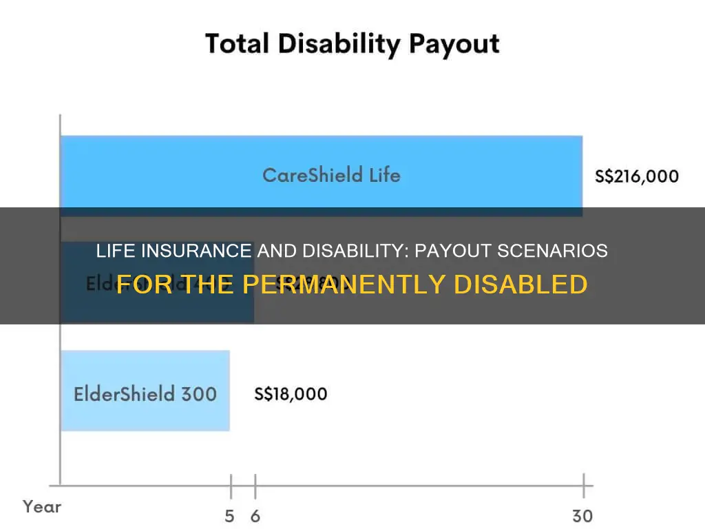 does life insurance payout if permanently disabled