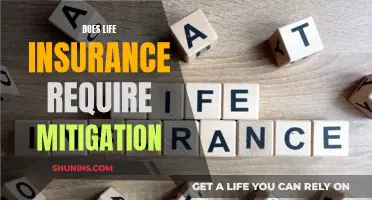 Life Insurance: Mitigation and Its Complex Requirements