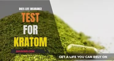 Kratom Users: Life Insurance Testing and You