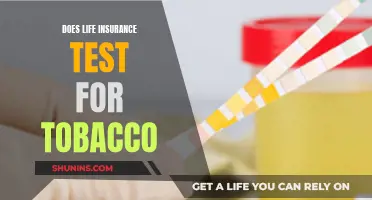 Life Insurance and Tobacco: Testing for Nicotine Use