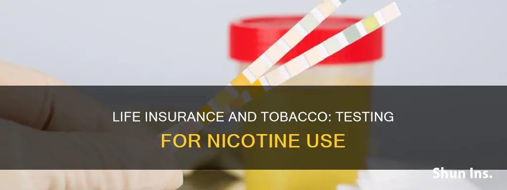 does life insurance test for tobacco