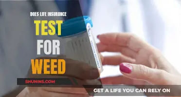 Weed and Life Insurance: Testing and Policy Impact