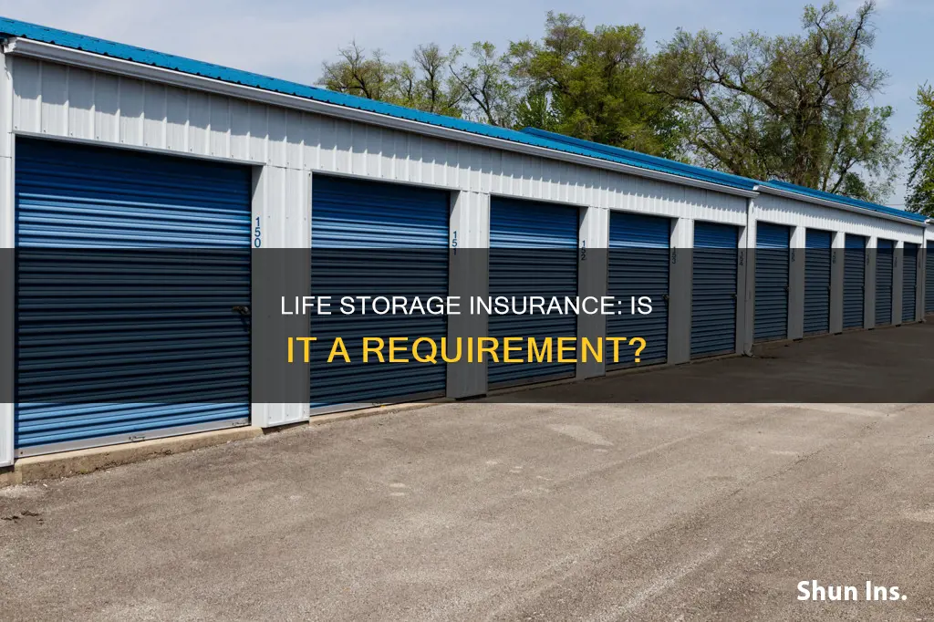 does life storage require insurance