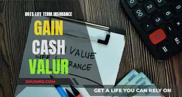 Life Term Insurance: Gaining Cash Value?