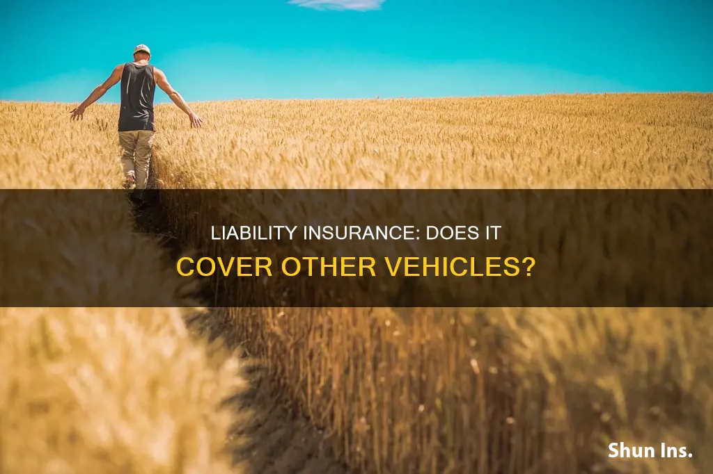 does lisbility insurance extend to other vehicles