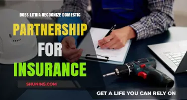 Lithia's Insurance Benefits: Domestic Partnership Recognition Explained