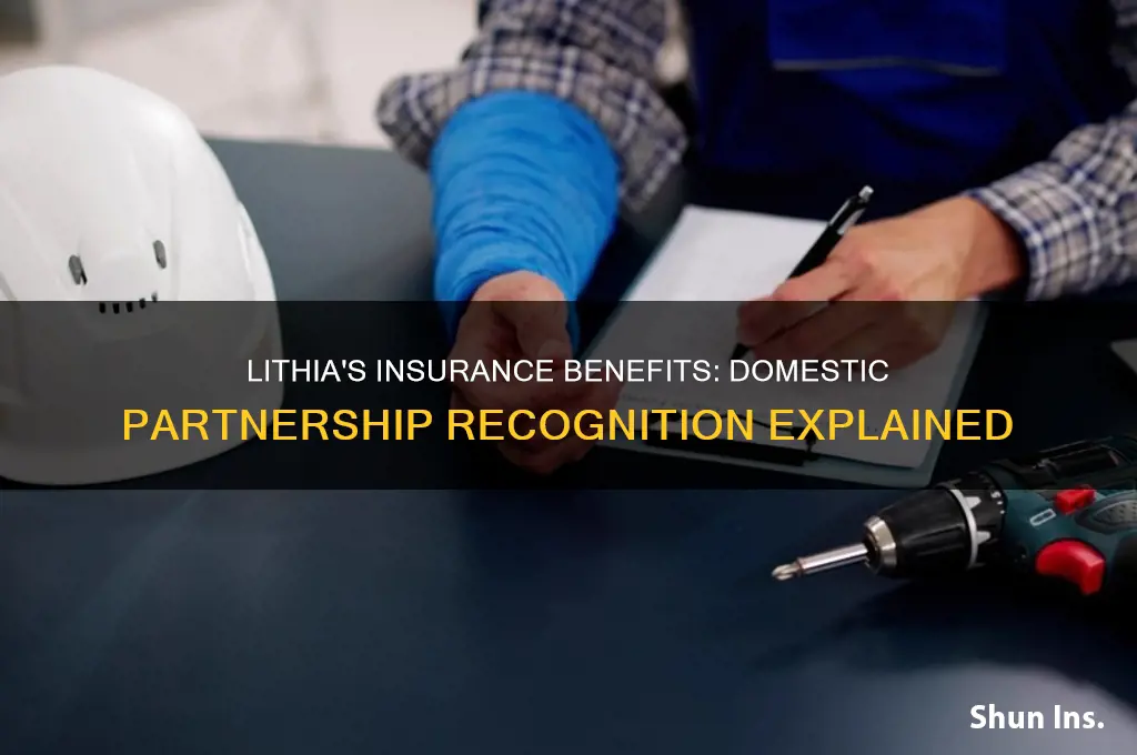 does lithia recognize domestic partnership for insurance