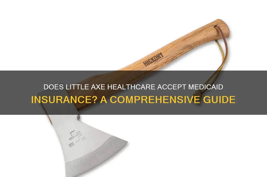 does little axe health carenacceptbmedica insurance