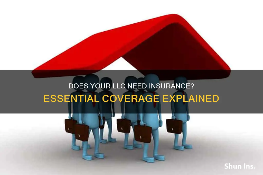 does llc have insurance