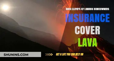 Lloyd's of London: Does Your Home Insurance Cover Lava?