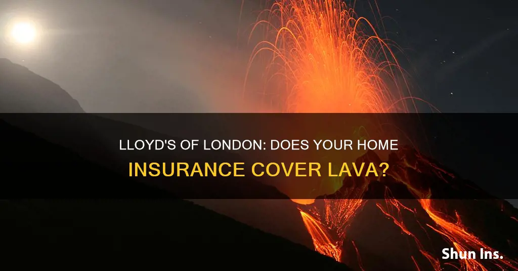 does lloyd