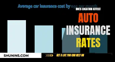 Location, Location, Location: Unraveling the Geography of Auto Insurance Rates