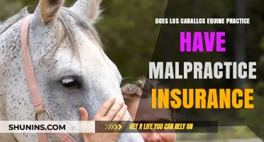 Does Los Caballos Equine Practice Carry Malpractice Insurance?