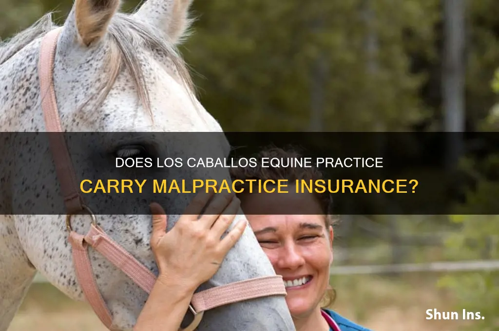 does los caballos equine practice have malpractice insurance
