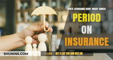 Louisiana Insurance Grace Period: Understanding the 10-Day Policy Extension