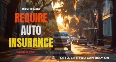 Louisiana Auto Insurance: What You Need to Know