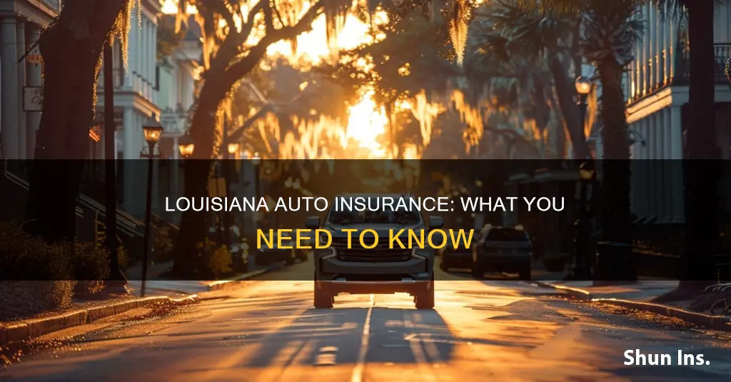 does louisiana require auto insurance