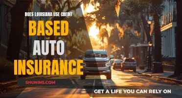 Louisiana's Credit-Based Auto Insurance: What You Need to Know