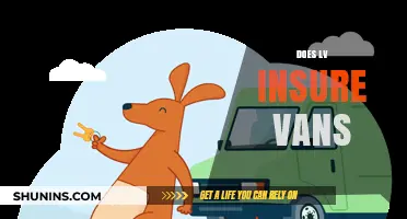 Does LV Insure Vans? A Comprehensive Guide to Van Insurance Options