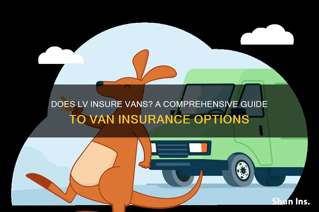 does lv insure vans