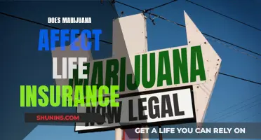 Marijuana Use and Life Insurance: What's the Impact?