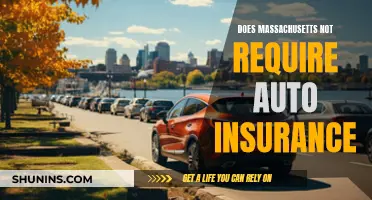 Massachusetts' Unique Auto Insurance Law: No Mandatory Coverage