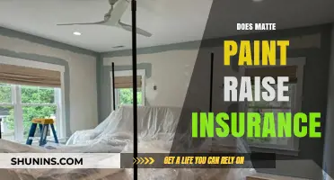 Does Matte Paint Increase Car Insurance Costs? What You Need to Know