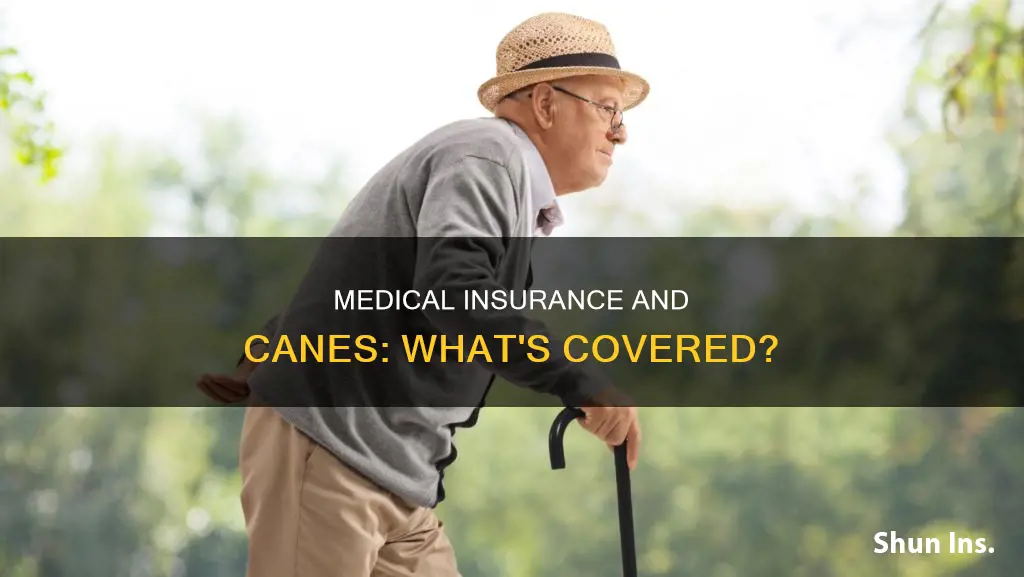 does medical insurance cover canes