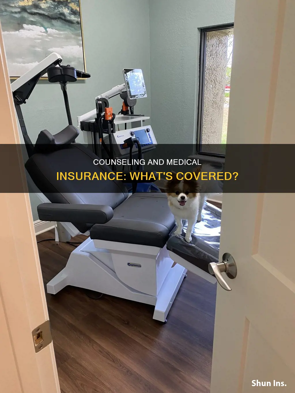 does medical insurance cover counseling