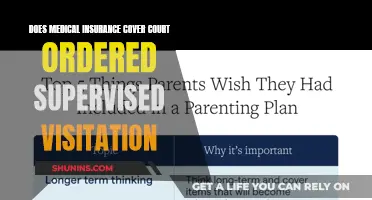 Supervised Visitation: Medical Insurance Coverage for Court-Ordered Cases