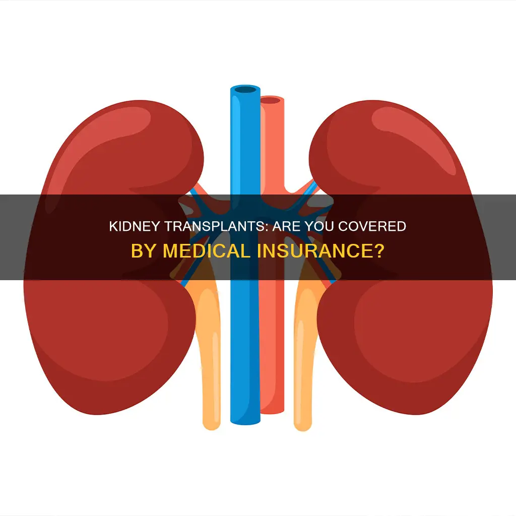 does medical insurance cover kidney transplant