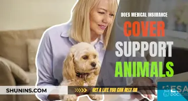 Understanding Medical Insurance Coverage for Support Animals